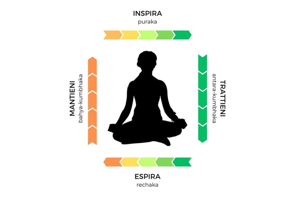 le quattro fasi della respirazione quadrata - sama vrittipranayama - 1) inspira (puraka) 2) Trattieni (antara-khumbaka) 3) Espira (rechaka) 4) Mantieni (bahya-khumbaka)