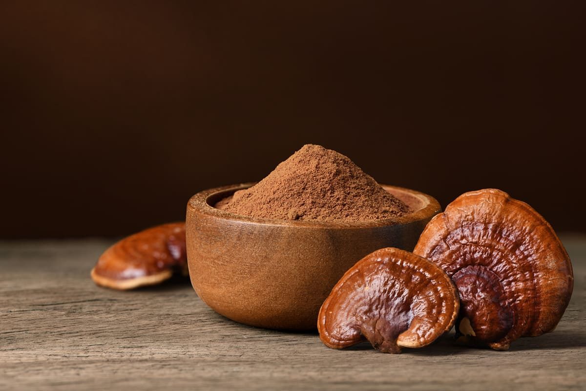 Benefici fungo reishi
